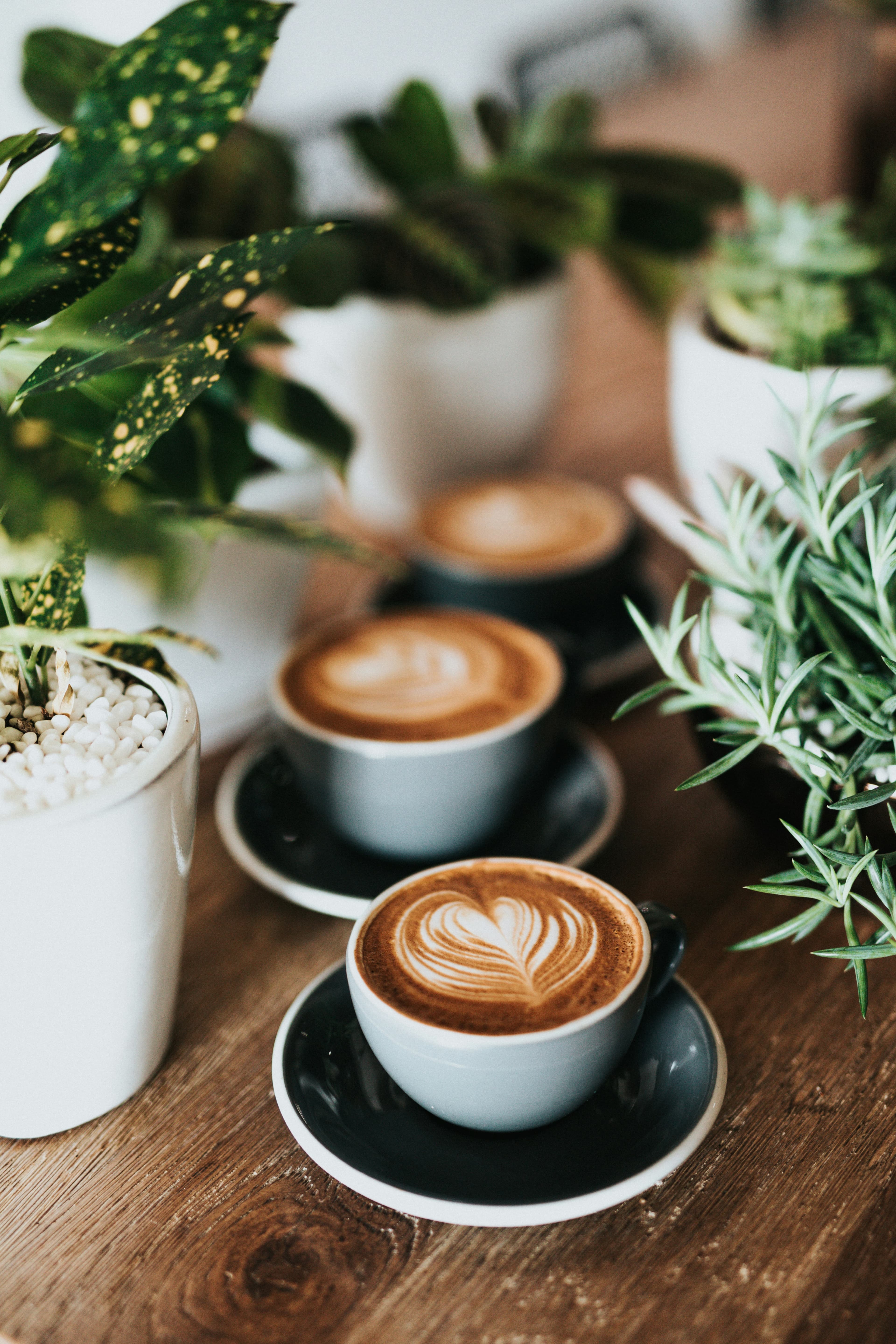 Specialty Coffee Barista Crafting
